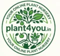 cropped cropped plant4you logo 2.webp