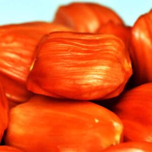 dang surya jackfruit